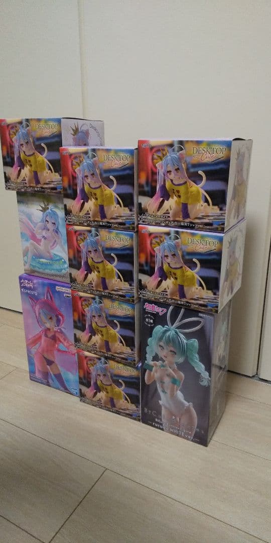 ノゲノラ　白３種　ルルドミク白バニー　系１０体