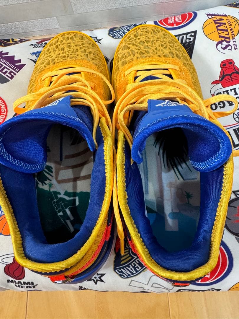 Titan × Nike Zoom LeBron NXXT Gen 28.5cm