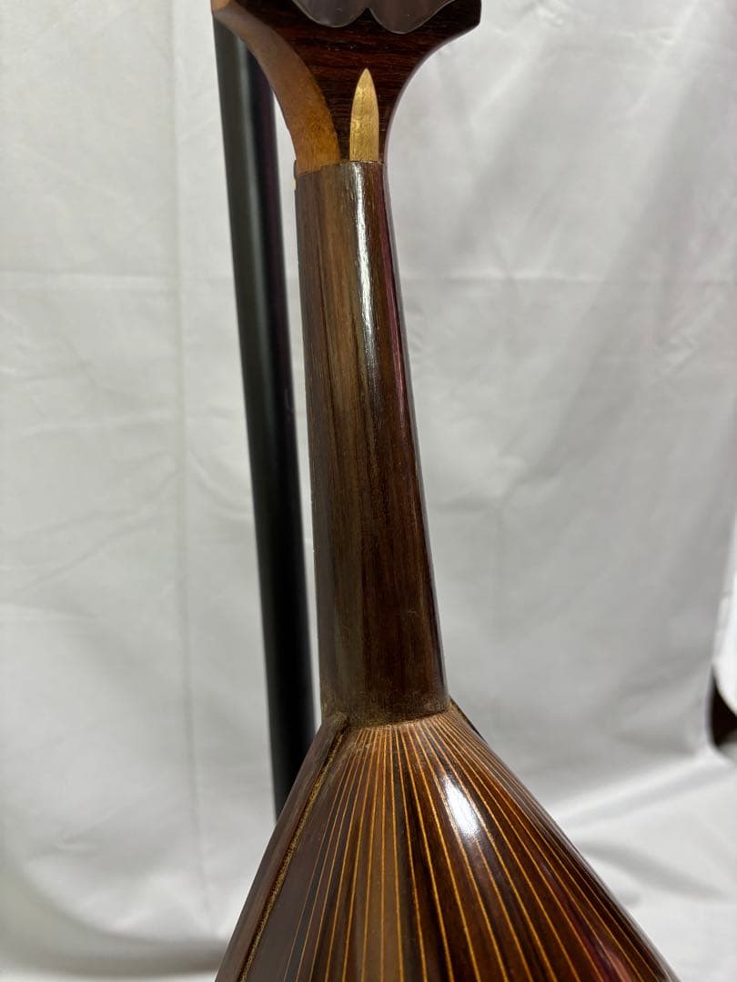 弦楽器 Raffaele Calace Figlio Classico Type 26