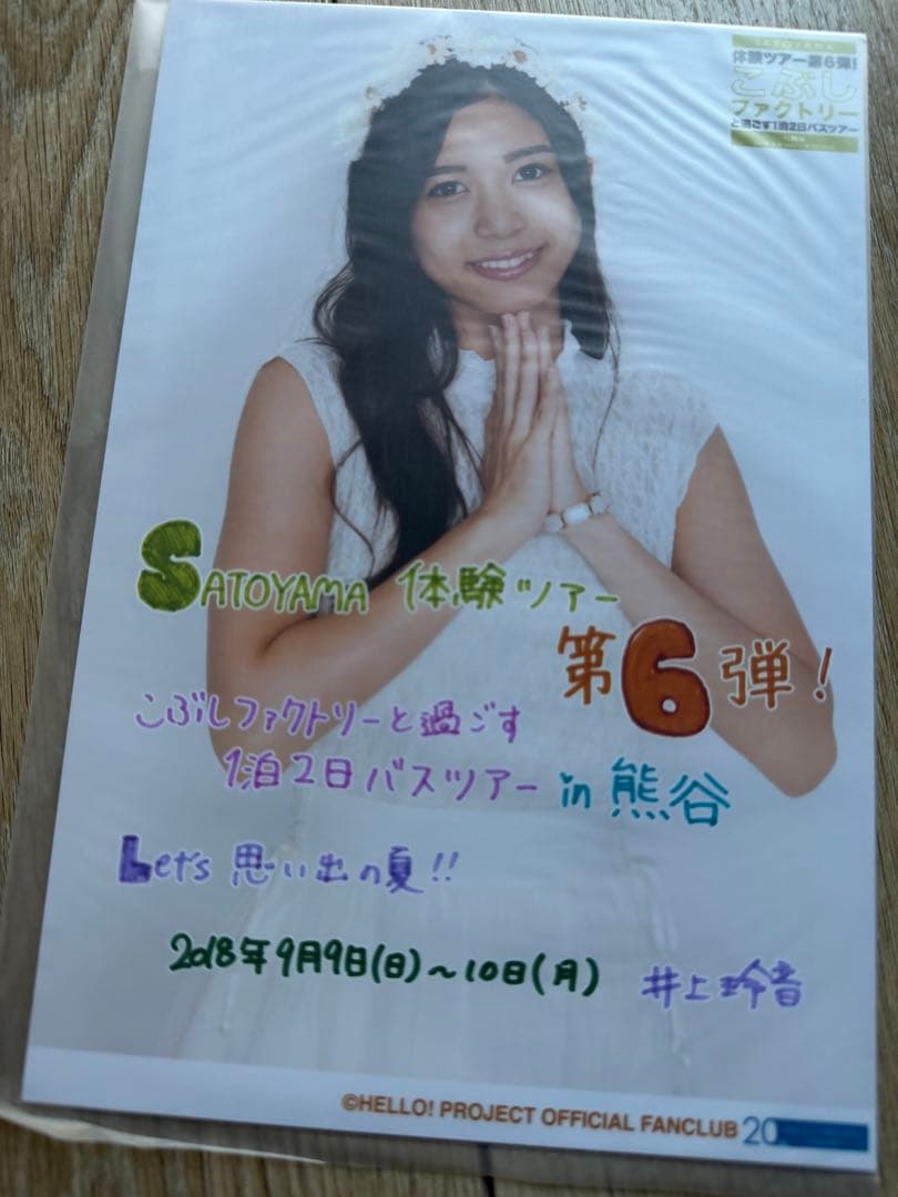Juice=Juice 井上玲音　日付入りA5ワイド　日替わり写真　17枚セット