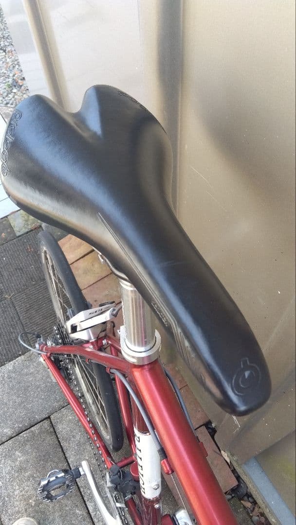 Raleigh ミニベロ RSCレッド極上品