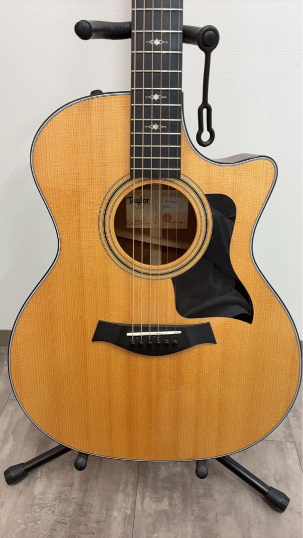 Taylor314ce V-class 弦アース