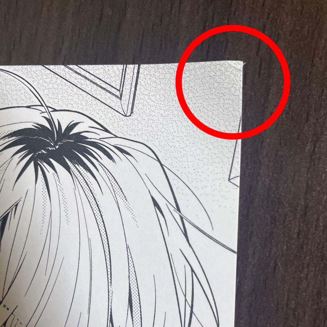 恋と呼ぶにはささやかですが　複製原画
