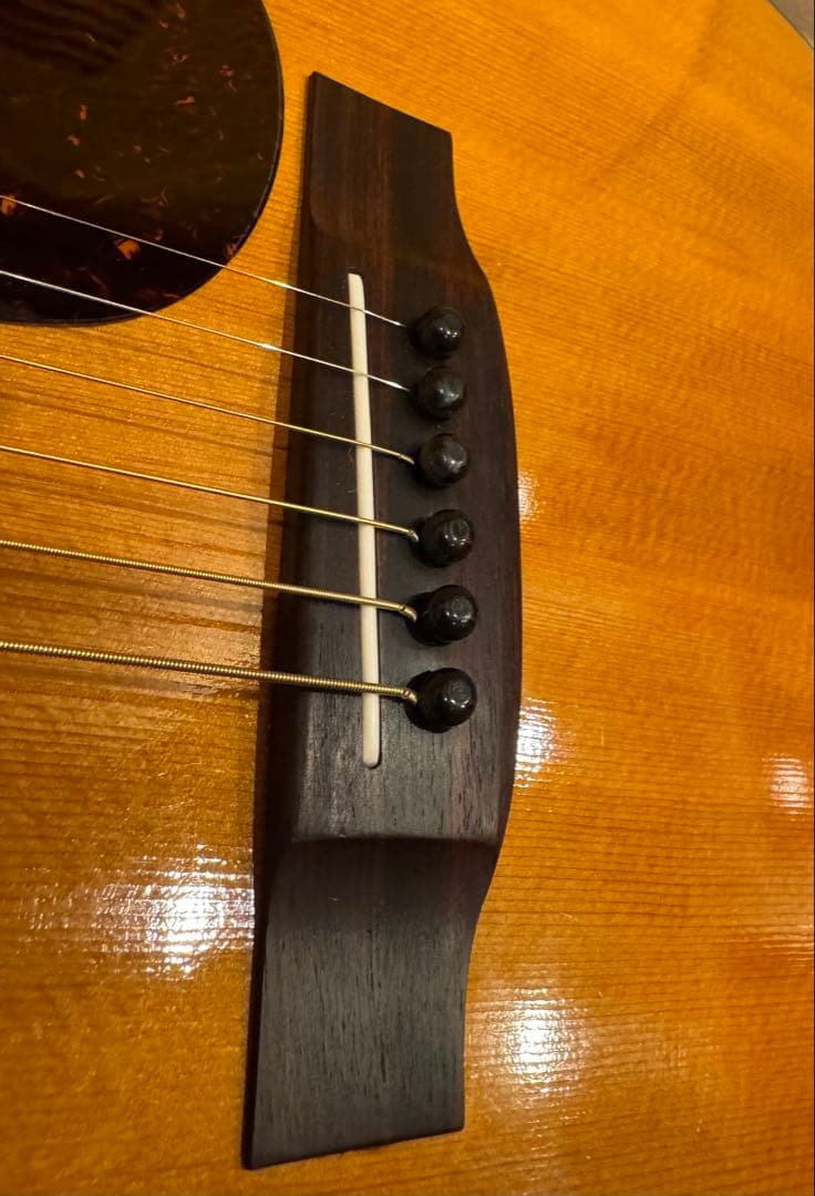 Cat's Eyes CE-400 CF ハードケース付き