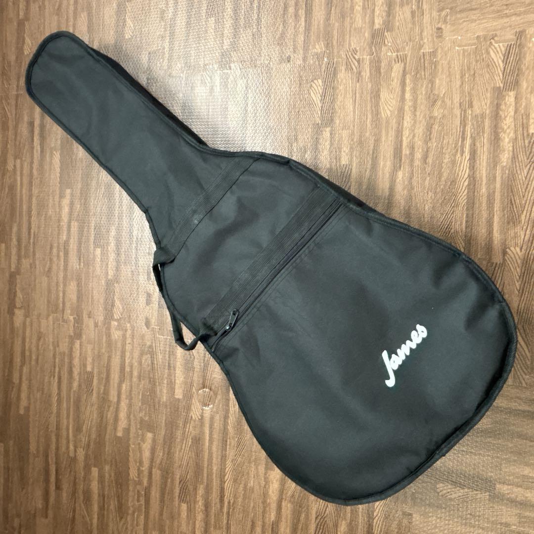 【極美品】E piphone ハミングバード PRO エレアコ 整備済み