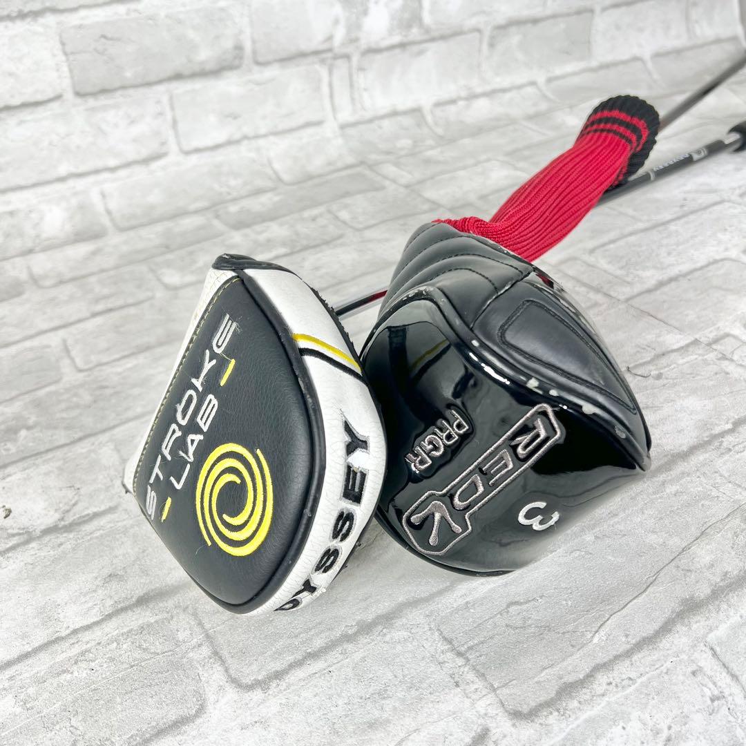 プロギア RED オデッセイ ストローク ラボ タートル パター 2本セッ販売