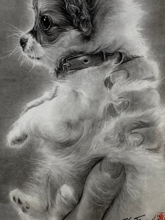 画家 白井真澄 木炭肉筆デッサン画  原画 真筆保証品！額入dog NO.26