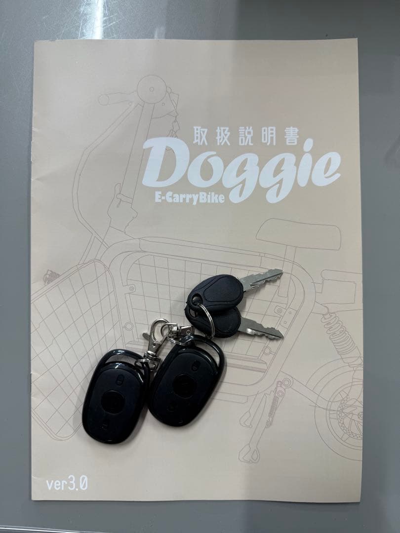 E-CarryBike Doggie本体マットブラックオプションアクセサリー付き
