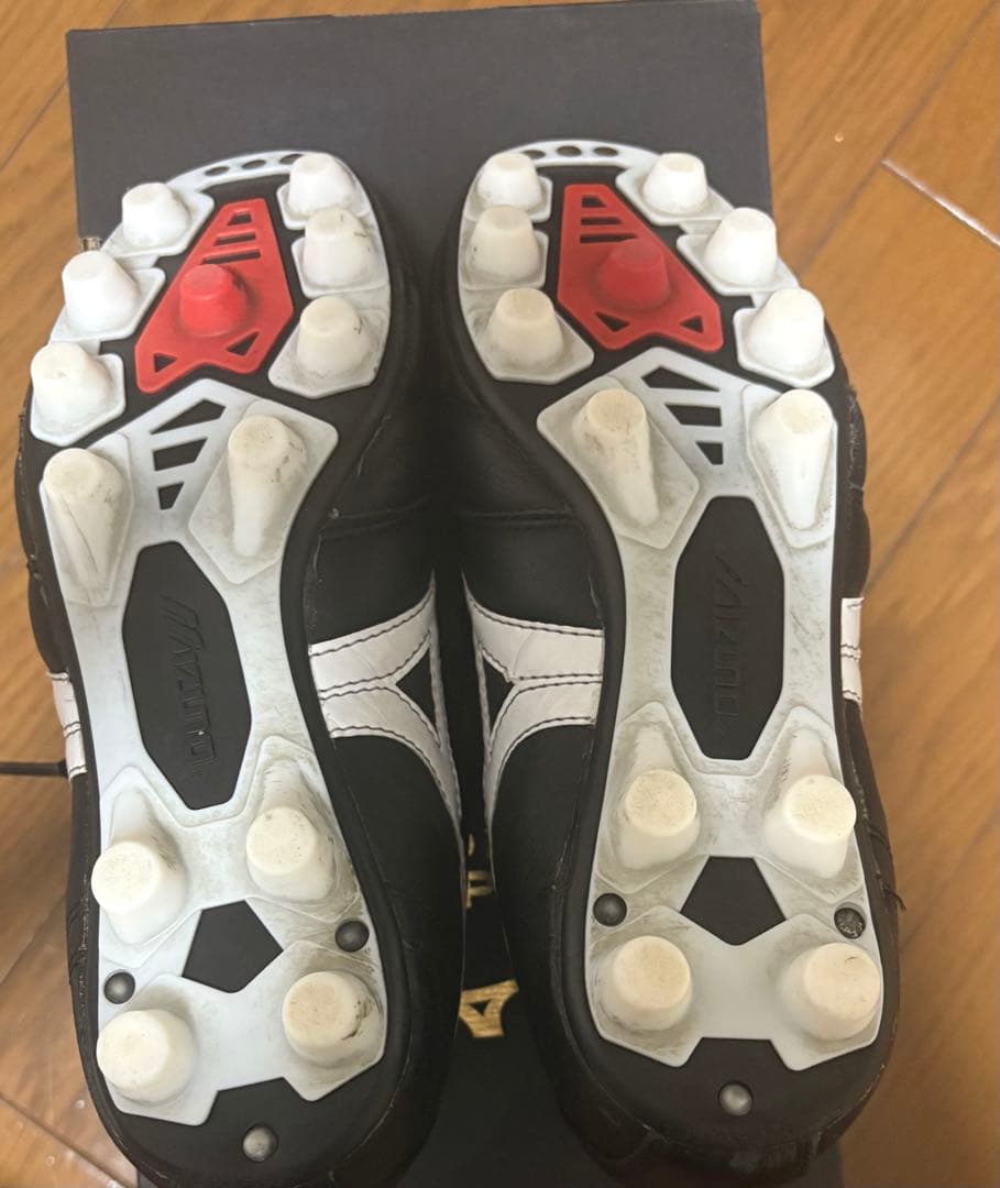 シンバパパ