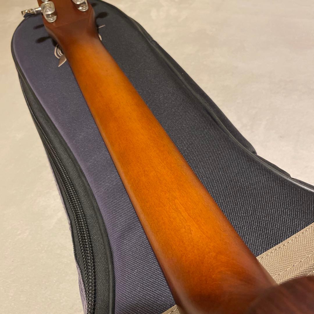 Seagull S6 Original Burnt Umber QIT シーガル