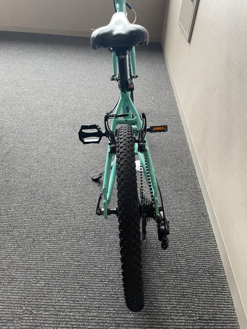 Bianchi Pirata 20インチ