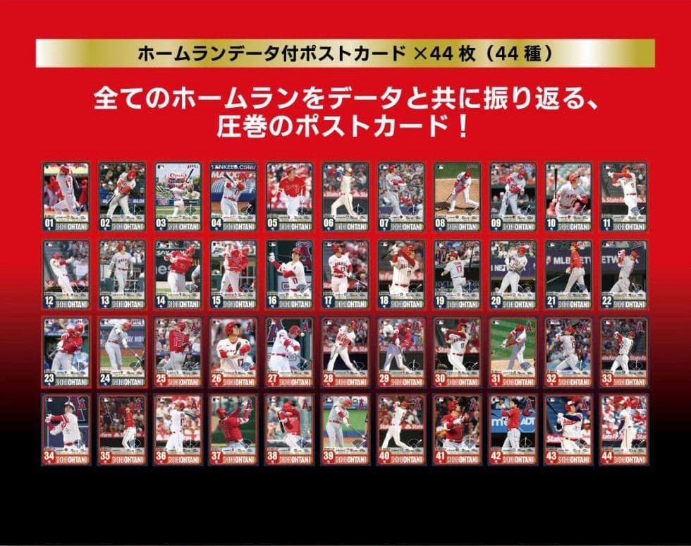 大谷翔平プレミアムフレームセット 2023ホームラン王獲得記念 エンジェルス
