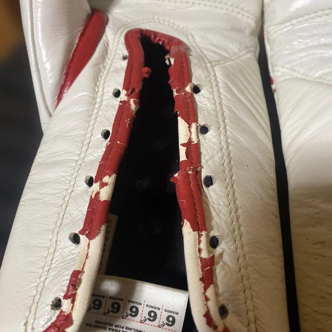 CLETO REYES セーフテック ボクシンググローブ