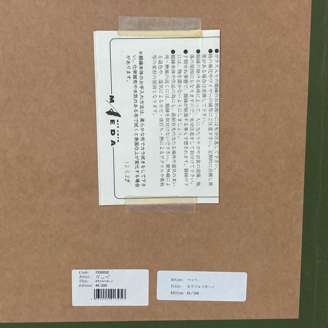ベッペ・スパダチーニ 額装 アート 大型 オオハシ 鳥 トロピカル レトロ