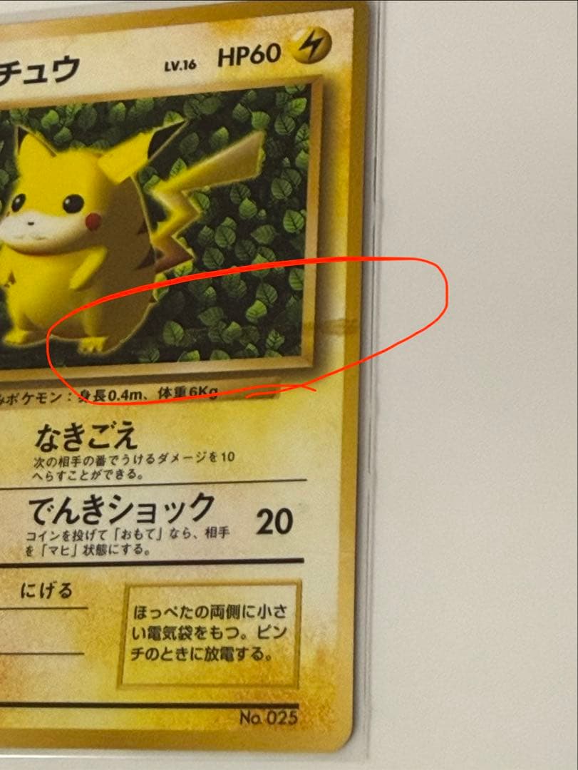 ピカチュウ 旧裏 誤表記 プロモ　ken sugimori