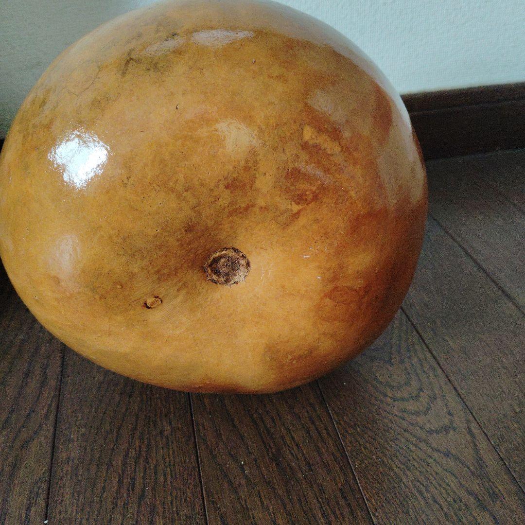 イプ＃フラダンス