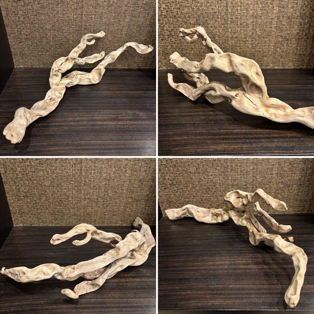 流木 うねうね系ロング　59cm