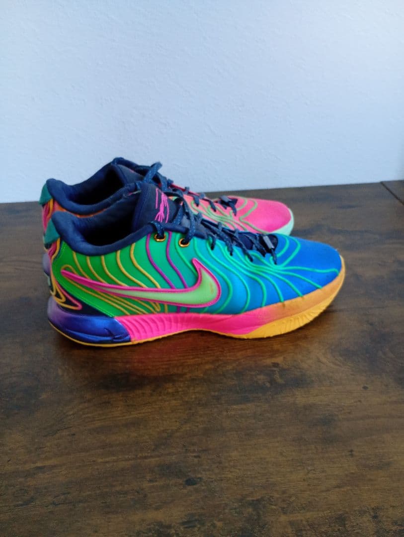 Nike Lebron21 28cm 値下げ交渉可能! 即日発送!