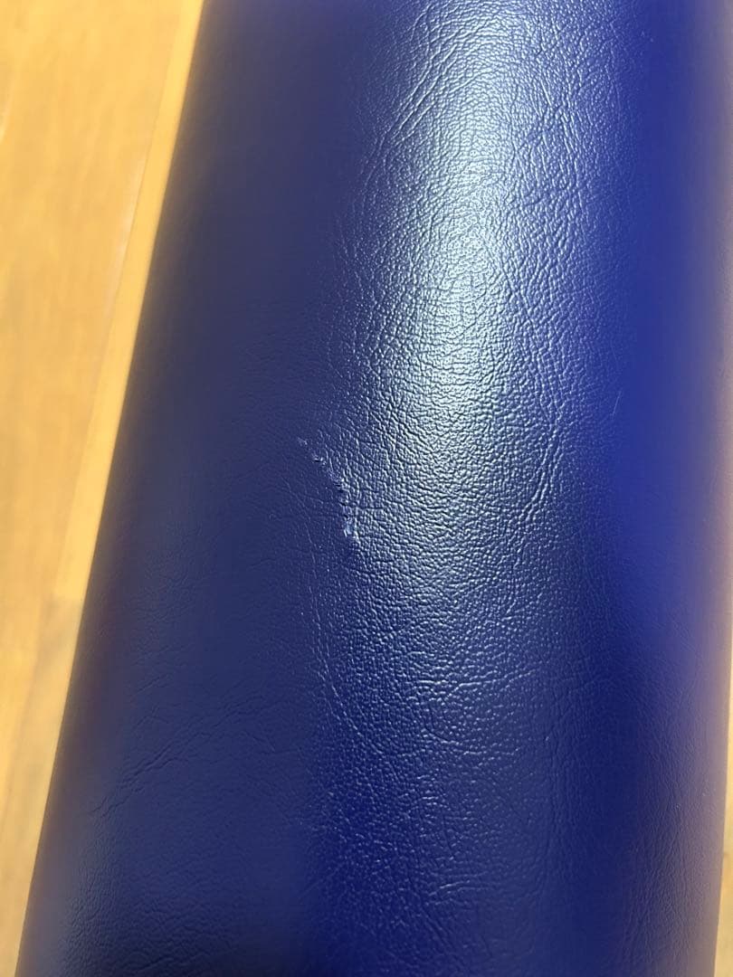 LPN社製 Stretch Pole ストレッチポールEX