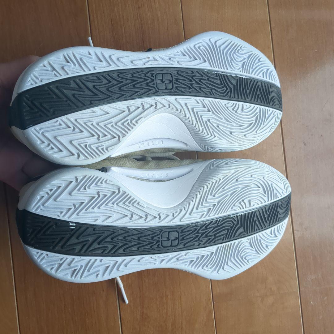 シューズ(男性用) Nike Sabrina1 26cm