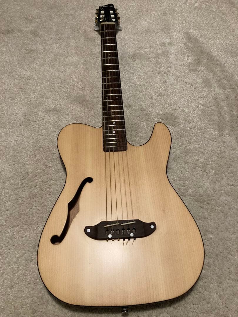 Schecter エレガット OLFL プリアンプ搭載モデル