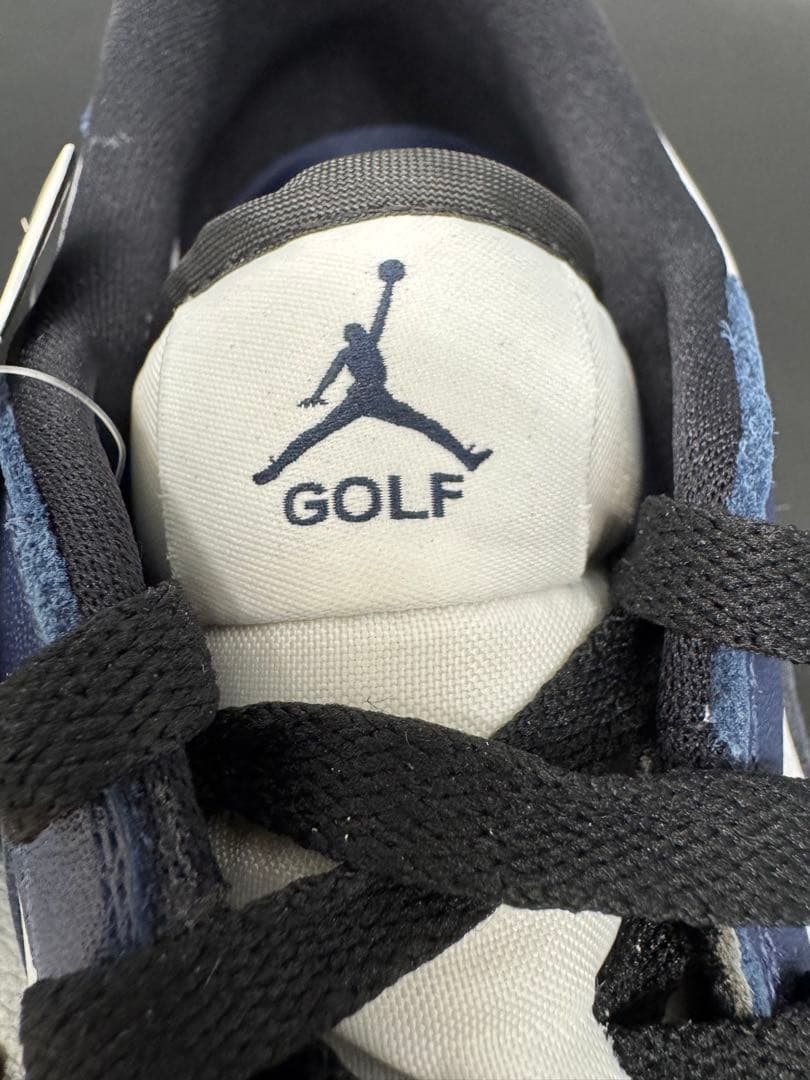 シューズ(男性用) NIKE GOLF AIR JORDAN 1 LOW G DD9315-104