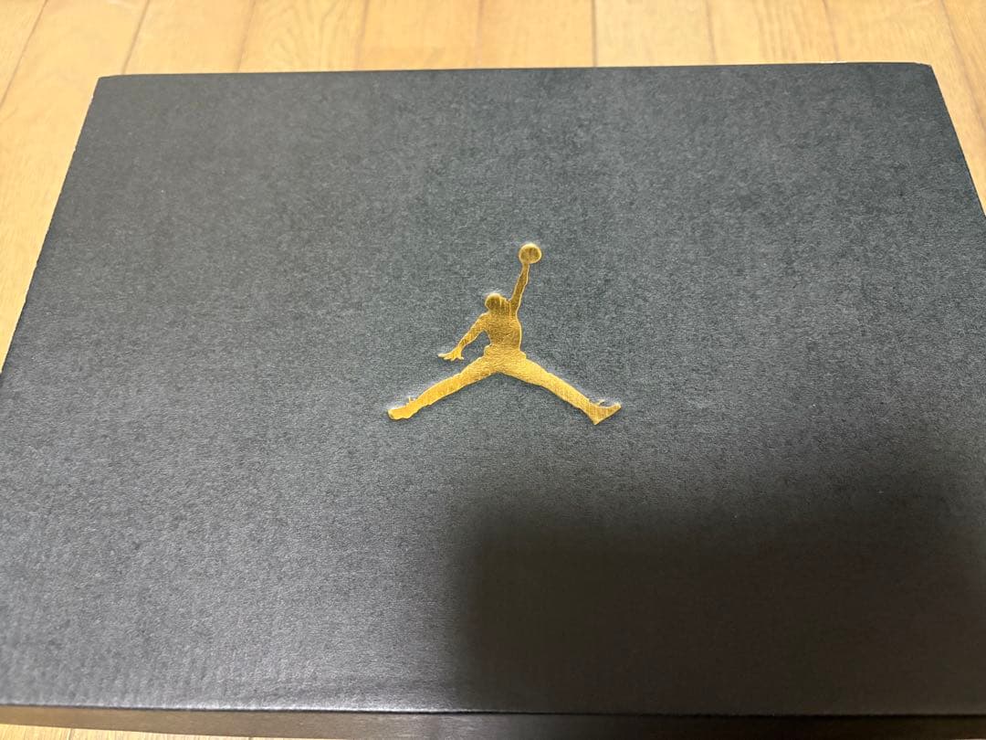 Air Jordan 14 G NRG USオープン エアジョーダン14G