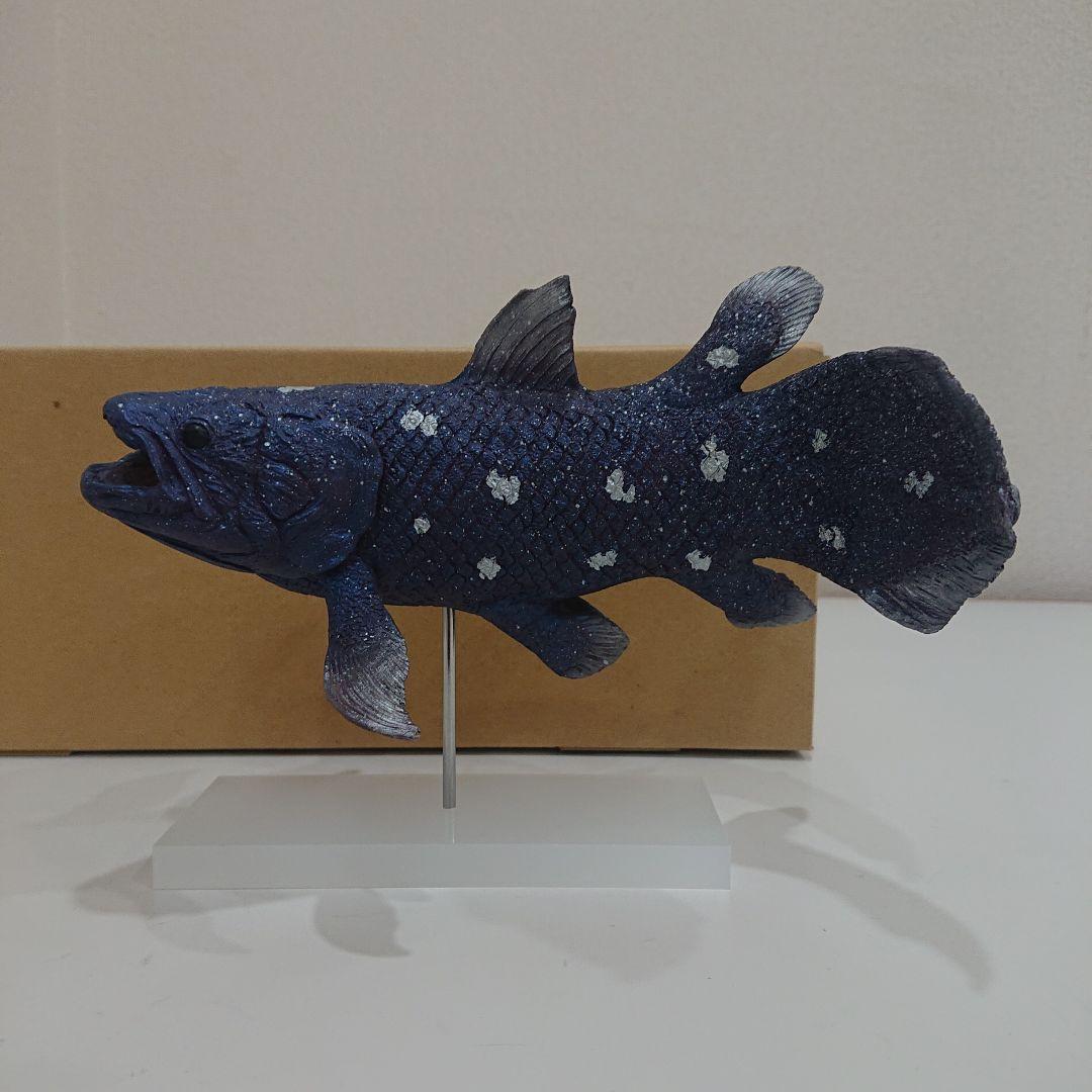 海洋堂 アクアランド シーラカンス 塗装済み完成品