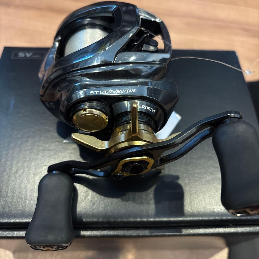 24 STEEZ SV TW 100XH ベイトリール 右