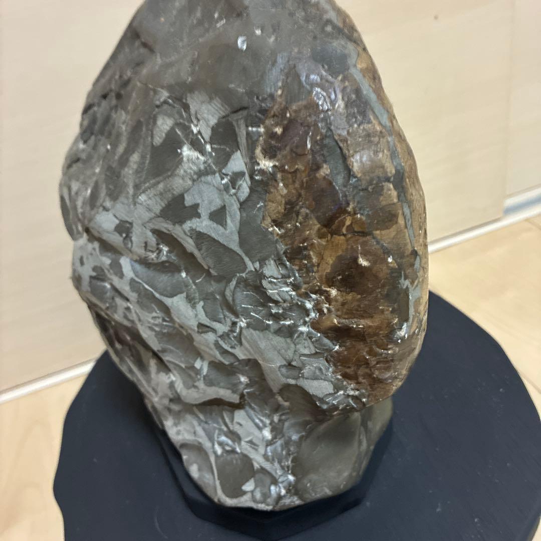珍品 北海道産 美模様 アンモナイト化石 黒色台座付き