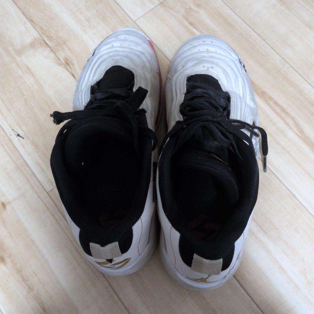 Nike Jordan ルカ3 LUKA バスケットボールシューズ