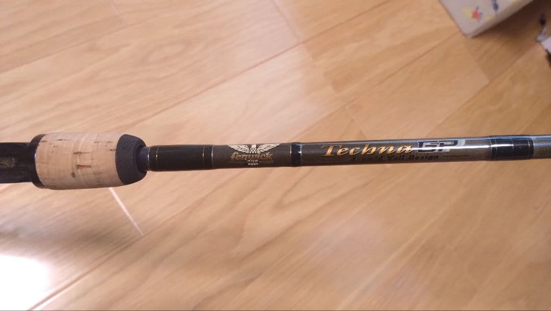 Fenwick フェンウィック テクナGP TAV-GP74CHJ　琵琶湖