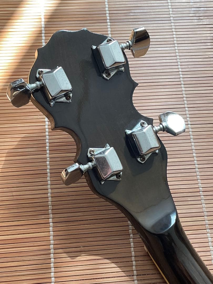 Tenesy Standard バンジョー5弦　ケース付き