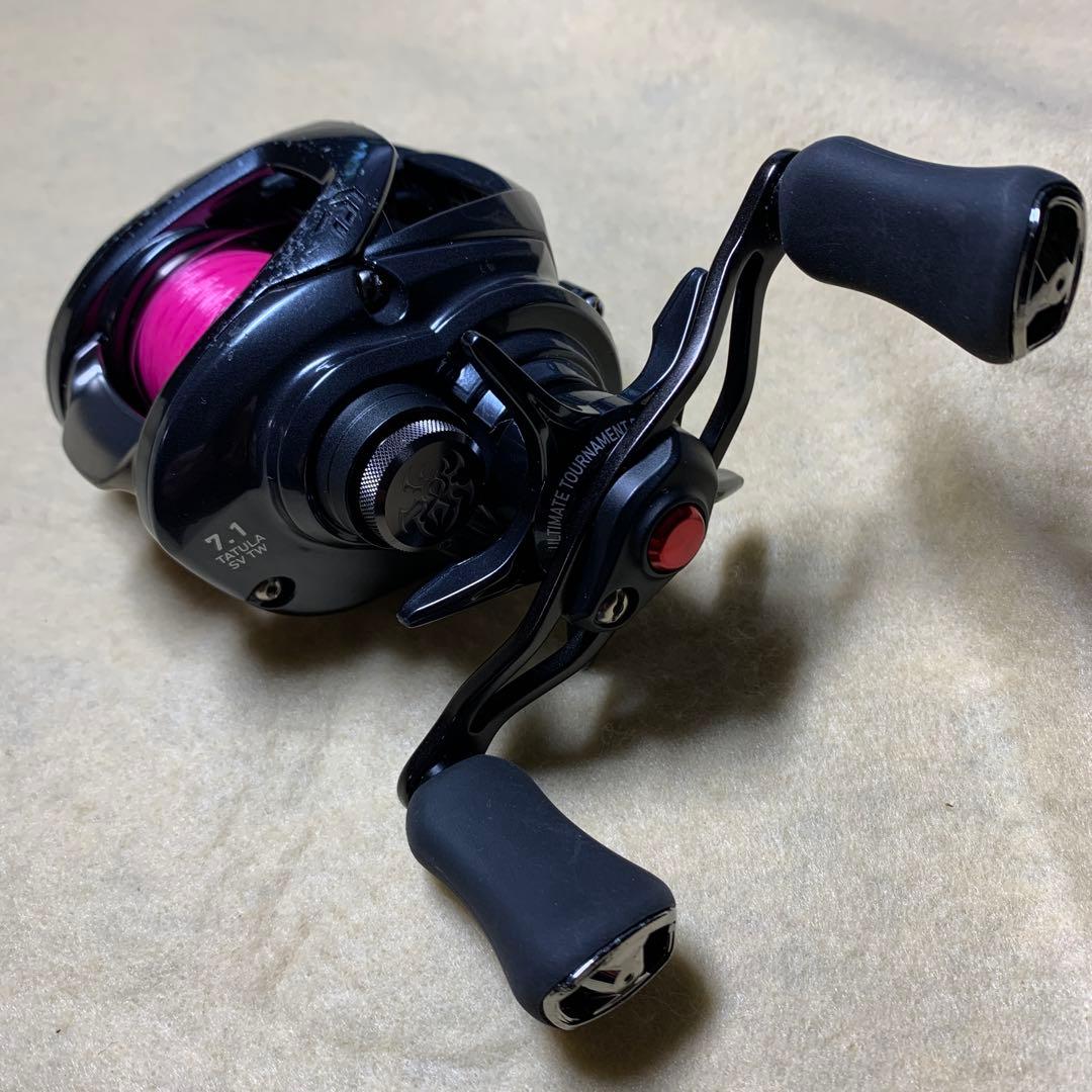 ダイワ(DAIWA) ベイトリール 20 TATULA SV TW タトゥーラ