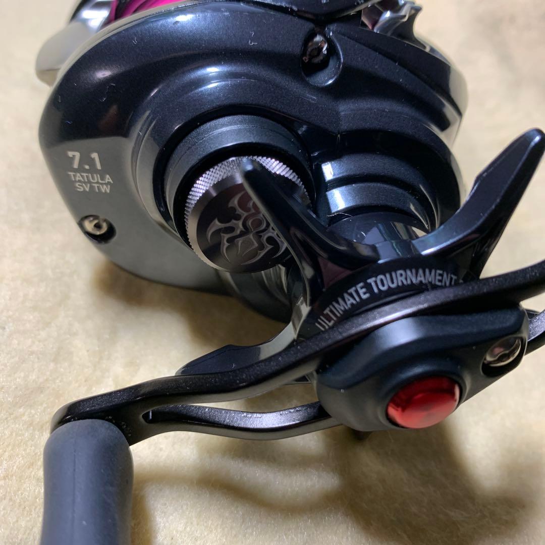ダイワ(DAIWA) ベイトリール 20 TATULA SV TW タトゥーラ
