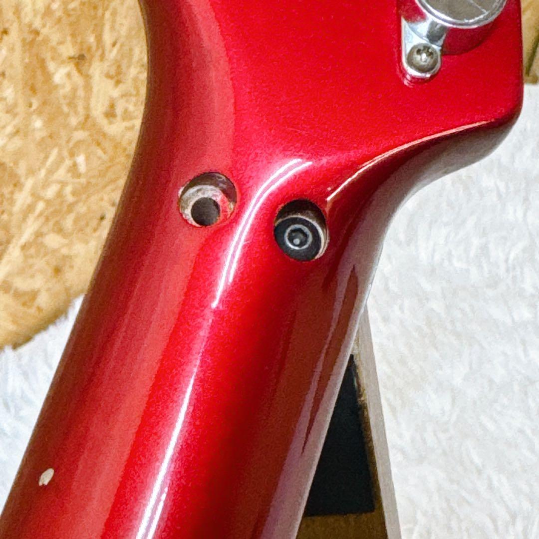 FERNANDES the function Lシリアル ジャンク レッド