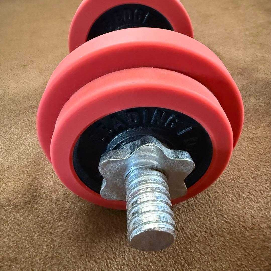 リーディングエッジ ラバーダンベル 20kg セット 片手 10kg