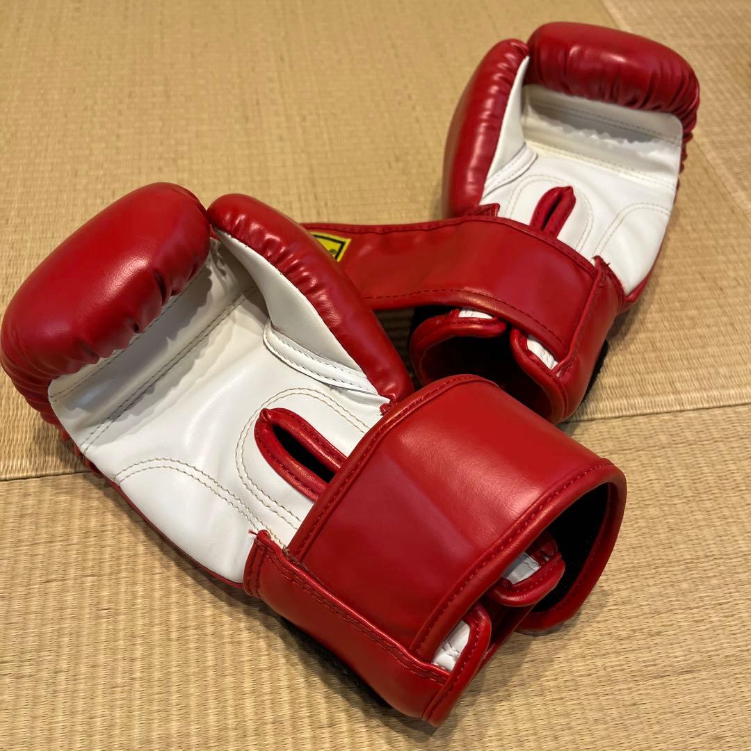 キッズ、グローブ&レッグプロテクター