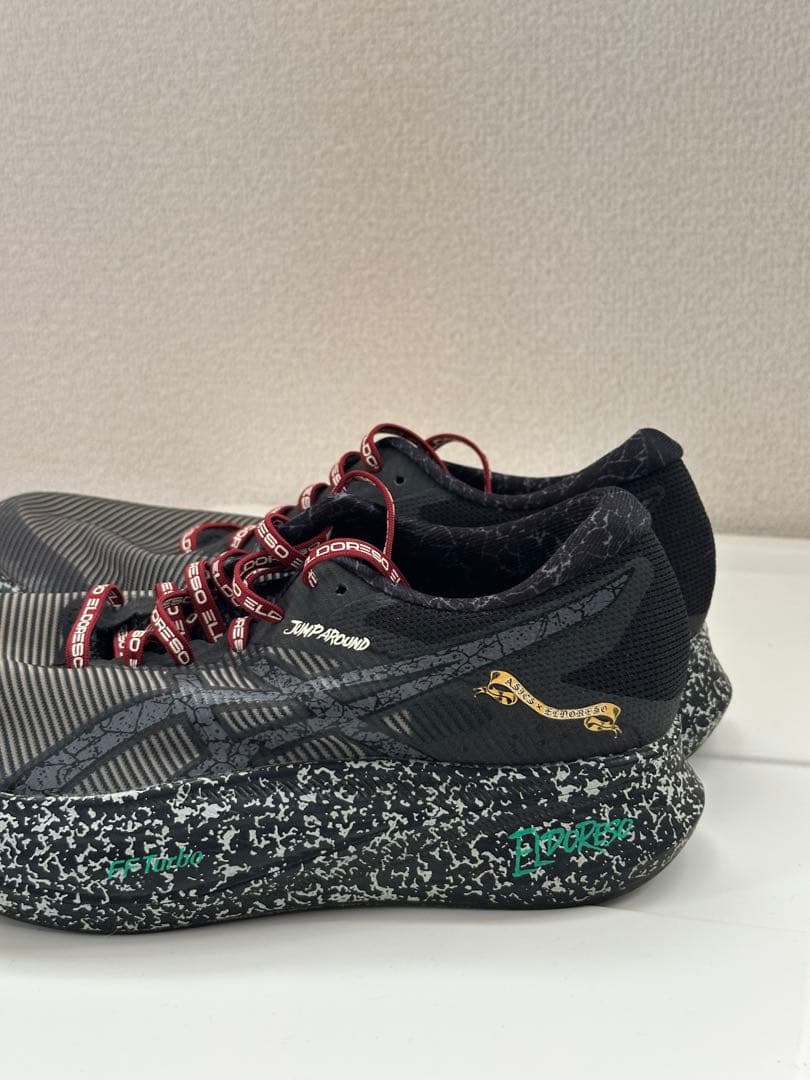 ASICS × Eldoreso S4 24.5cm