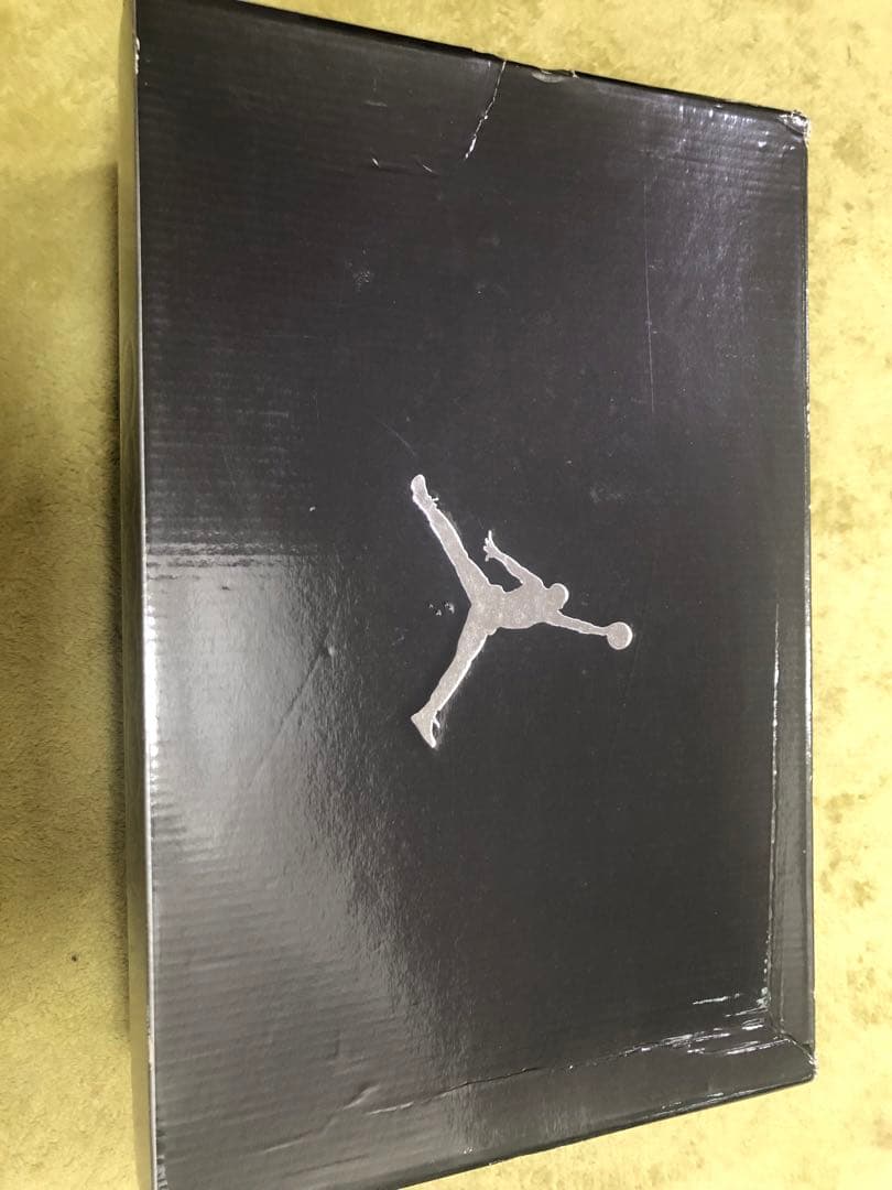 NIKE エアジョーダン6 レトロ　29cm