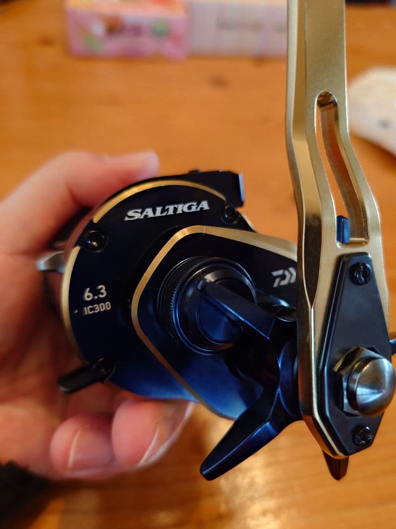 使用数回美品、SALTIGA IC 300 SLP WORKS カスタム品