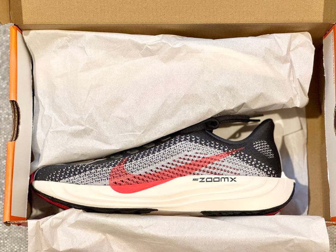 NIKE PEGASUS PLUS メンズ　25.5 ¥22,000(税込)