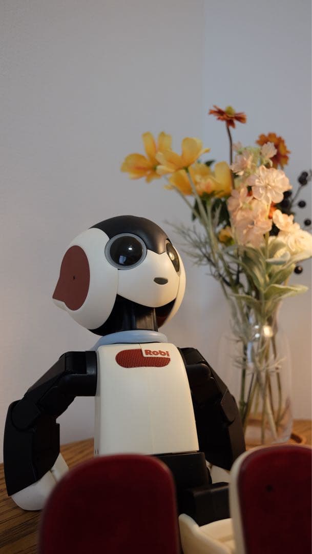 【美品】デアゴスティーニ　ロビ　ROBI　完成品　ケース付き
