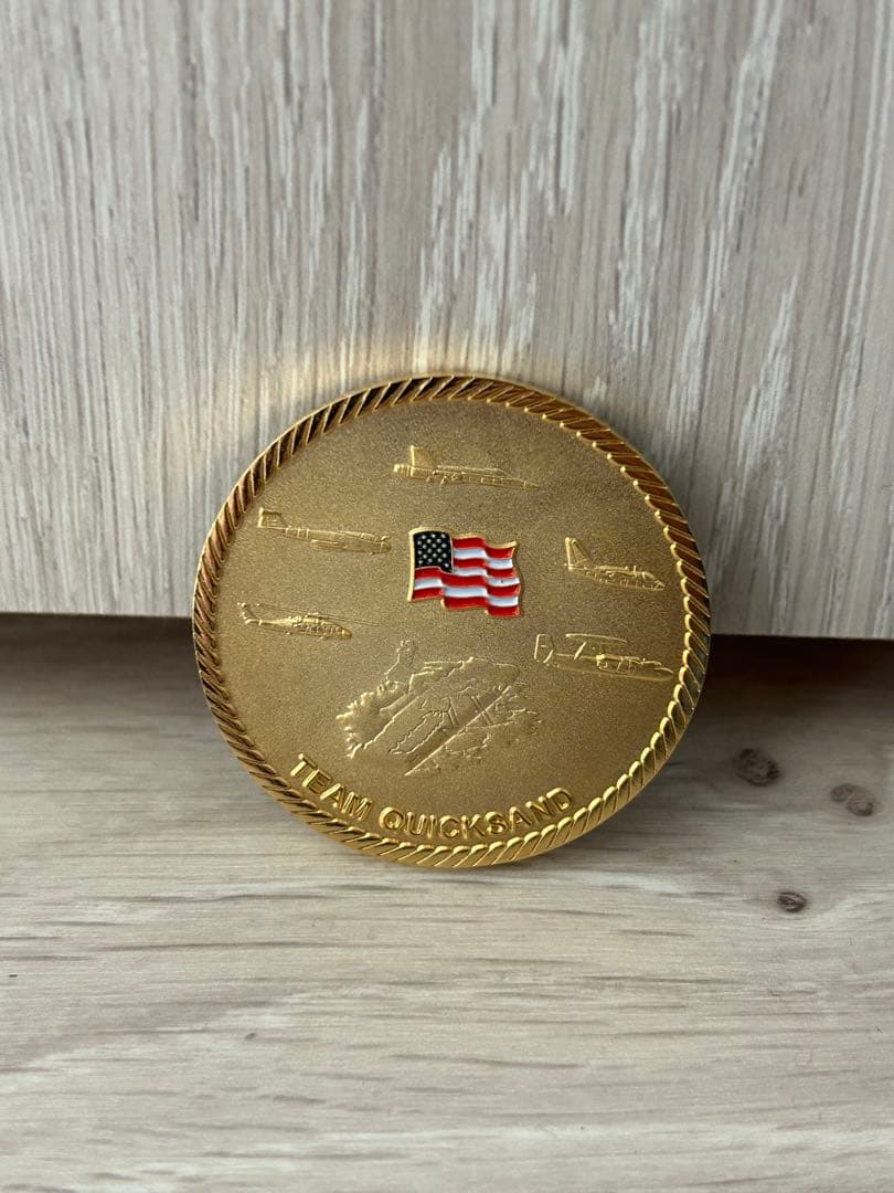 アメリカ海軍 第17空母航空団 メダル (本物)