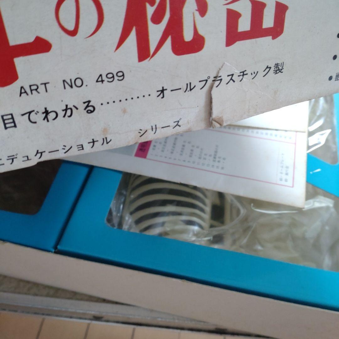立春セール。マルサン　乳牛の秘密　プラモデル