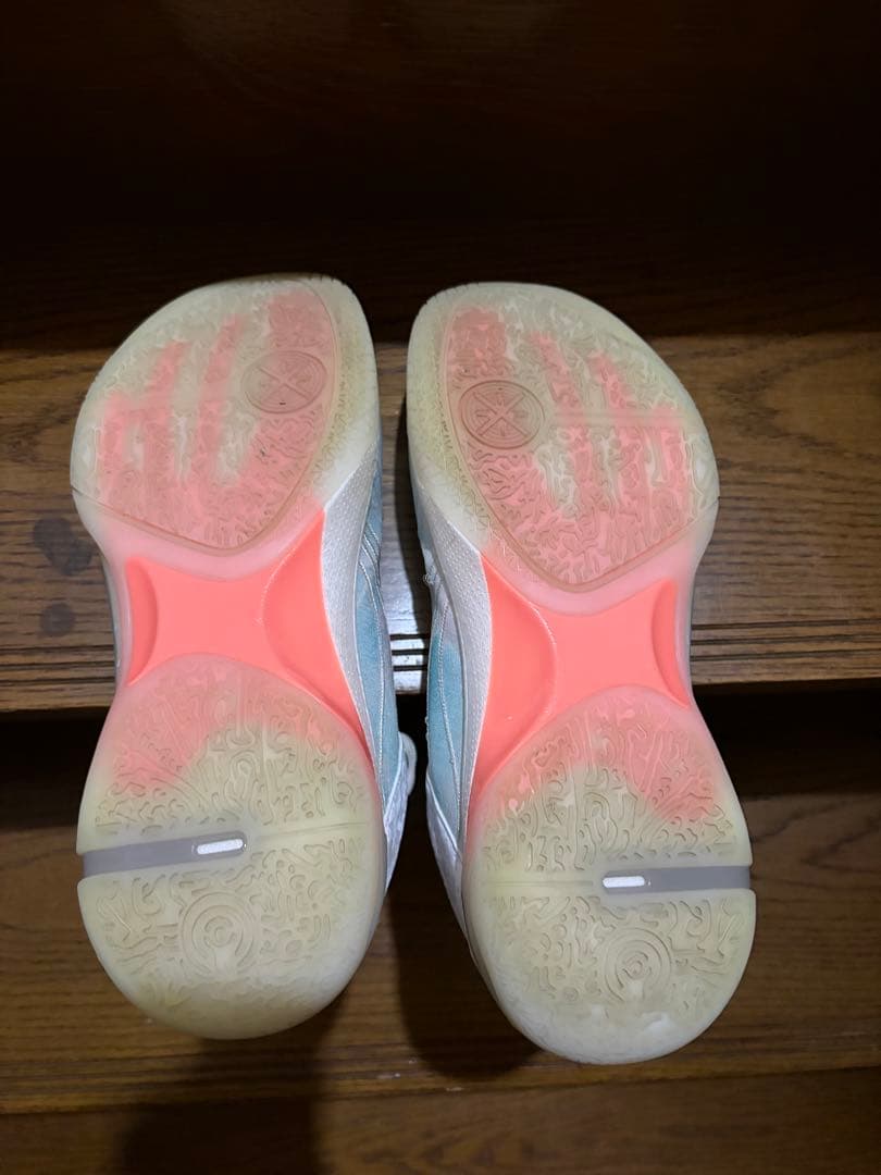 Li-Ning Wade Shadow 6 リーニン　29.5cm US12
