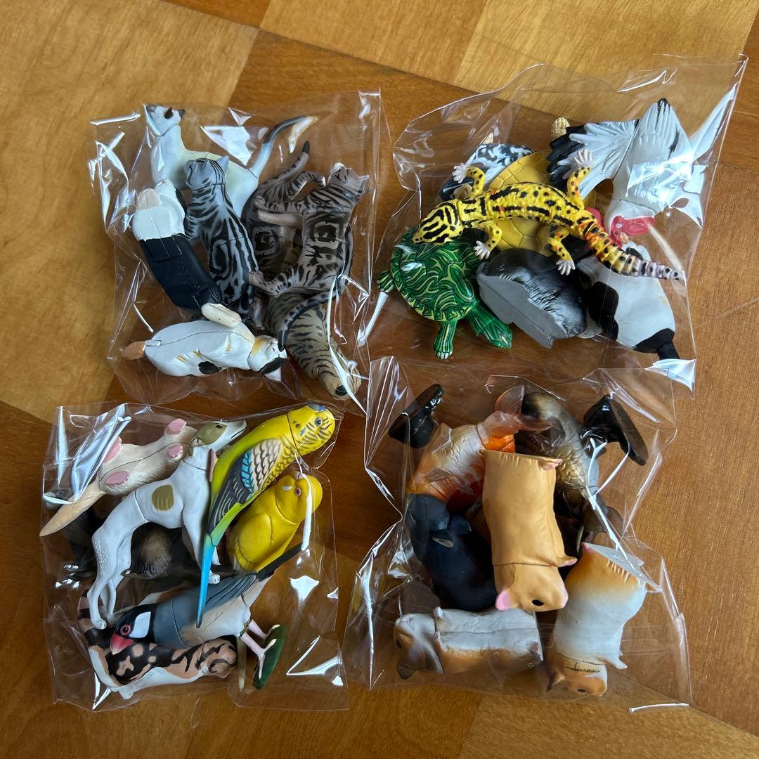 チョコエッグまとめ売り