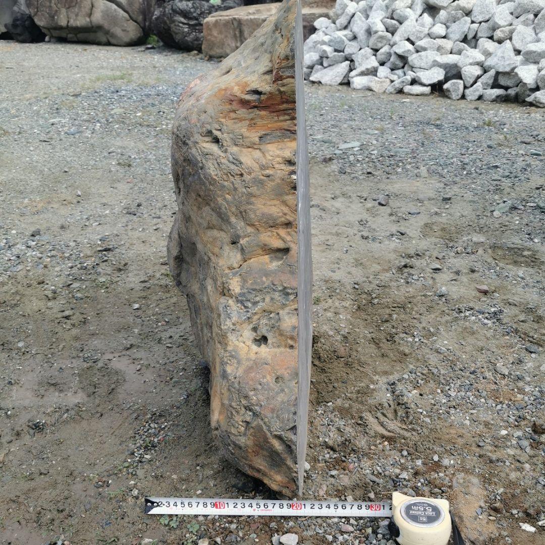 秋田産　珪化木　57キロ　木化石　庭石　鑑賞石　石　庭　ガーデニング　置物
