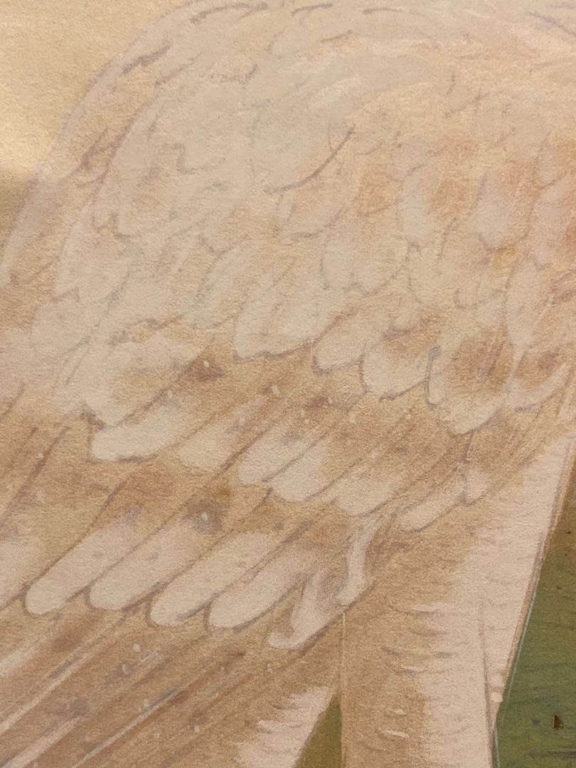 橋本関雪 複製工芸 掛け軸 掛軸 霊鷹 茶掛 絵画 日本画 花鳥図 中国 動物画