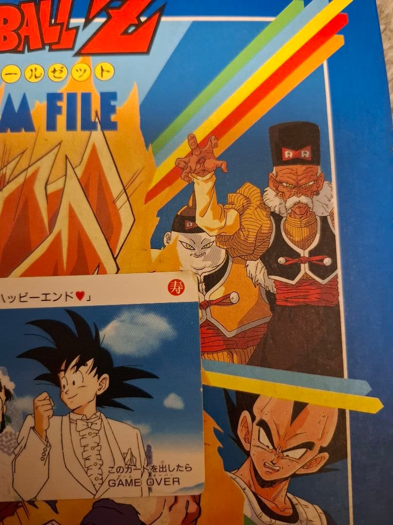 1989年　ドラゴンボール　結婚